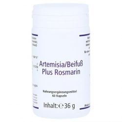 Артемизинин 150 мг капс. 60шт в Саратове и области фото